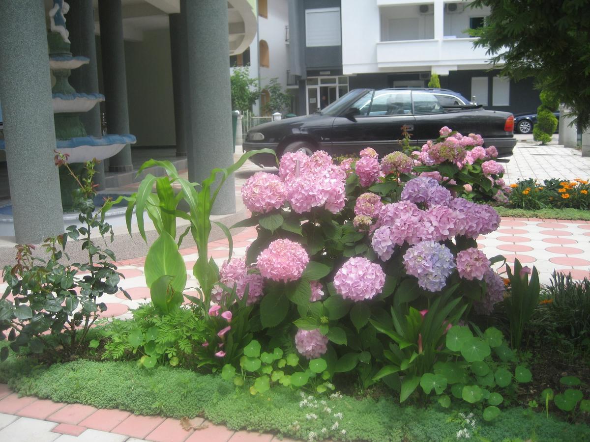 Guest House Vila Mimoza Улцин Екстериор снимка