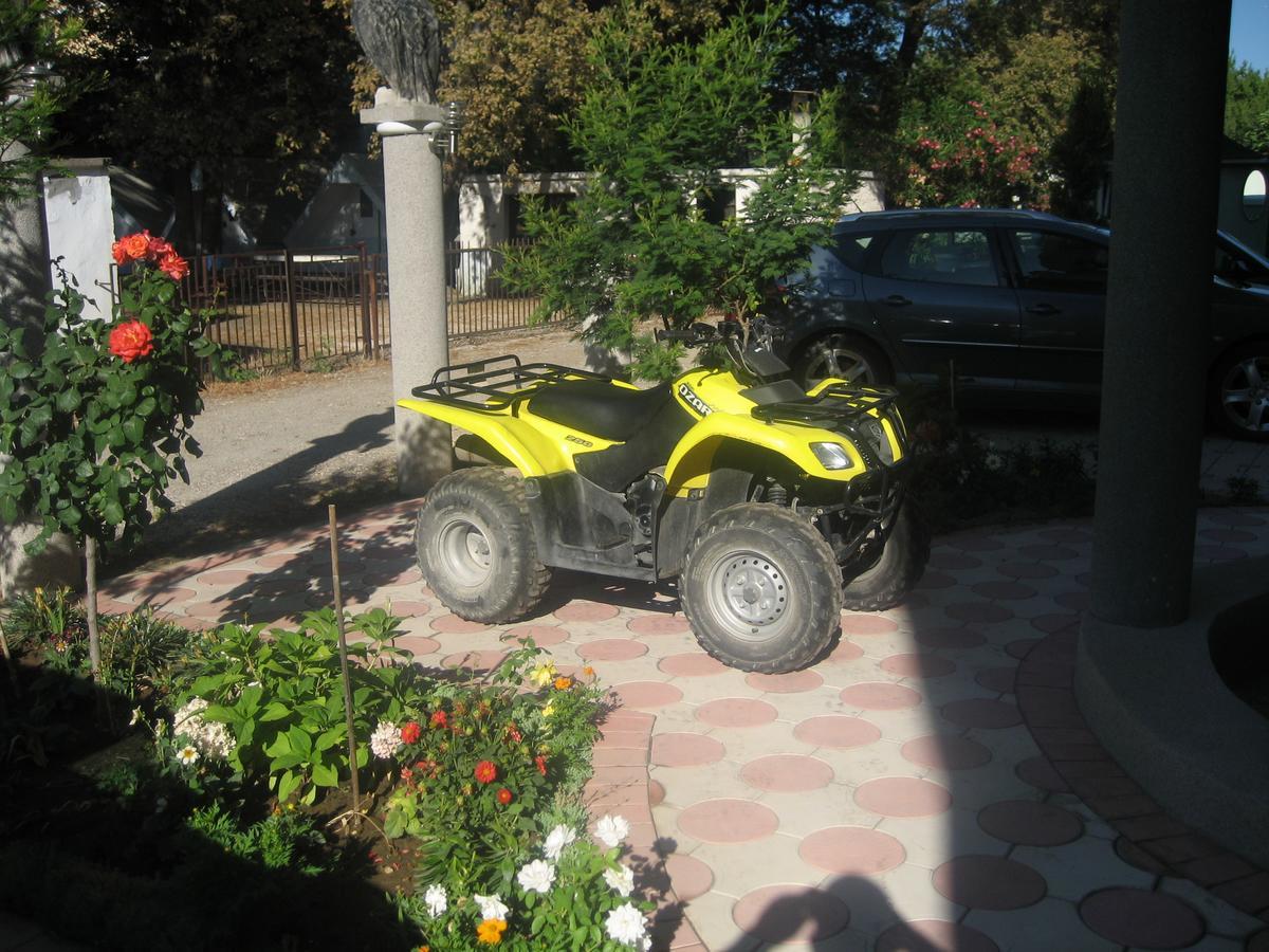 Guest House Vila Mimoza Улцин Екстериор снимка